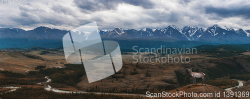 Image of Kurai steppe and North-Chui ridge