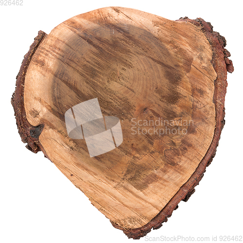 Image of Wood log slice