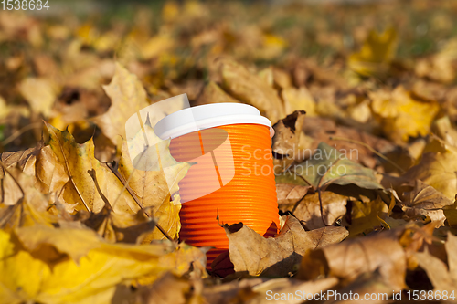 Image of orange cups