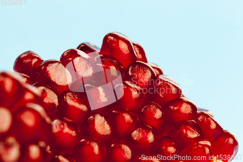 Image of red pomegranate