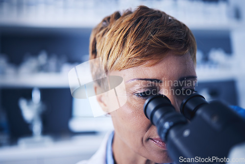 Image of Microscope, research and woman scientist doing a science experiment in a lab or laboratory to examine sample. Doctor, medical and professional female technician doing analysis for biotechnology