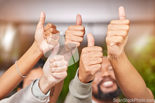 Image of Winning, thumbs up and group of people thank you, support or diversity hands for vote, yes or like emoji. Team building, target reach and winner staff teamwork, business agreement or success sign