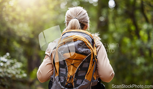 Image of Backpack, woman in forest and hiking for adventure, fitness and workout for fresh air, balance and wellness. Female, lady or hiker with equipment, walking or exercise with healthy lifestyle in nature