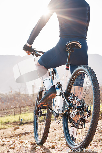 Image of Back of man, bicycle and cycling in nature, countryside and training for triathlon, sports and flare. Cyclist, mountain bike and off road path for fitness, exercise and waiting on a break in sunshine