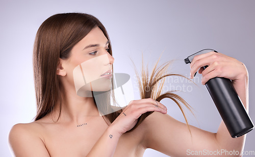 Image of Hair care, split ends and woman with spray in studio isolated on a gray background. Cosmetics product, damage and female model with hairspray bottle for salon treatment and hairstyle moisturizer.