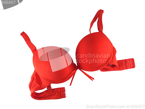 Image of Red Bra