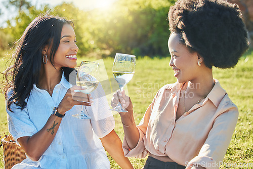 Image of Black woman, friends and toast in park at picnic with glass, drinks or champagne for happiness in sunshine. Women, happy and celebration in summer, relax and smile together at outdoor party on grass