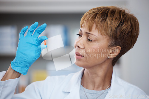 Image of Pharmacy, pharmacist and senior woman with pills, medication or antibiotics in drugstore. Healthcare, wellness and medical doctor looking and inspecting medicine or drugs, vitamins or supplements.