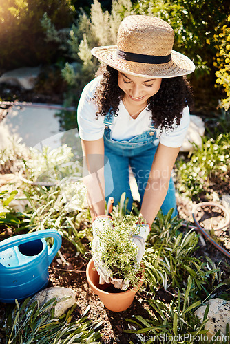 Image of Spring, plants and smile, woman gardening in sun for eco friendly hobby and sustainable weekend time. Flowers, agriculture and growth, happy gardener planting bush in pot in backyard garden in Brazil