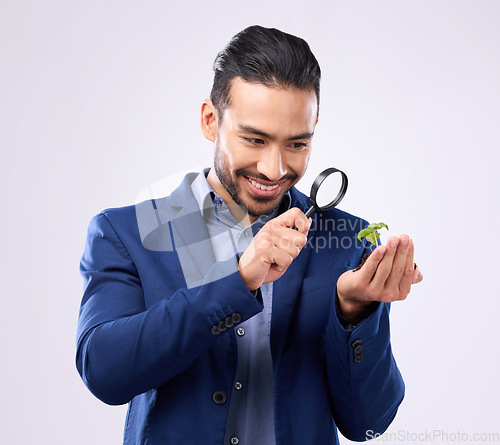 Image of Magnifying glass, plant and growth with man in studio for investment, search and zoom. Knowledge, discover and investigation with employee on gray background for study, analysis and curiosity