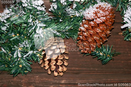 Image of Pine cones