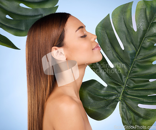 Image of Woman, face and leaf in natural beauty skincare cosmetics or self love and care against blue studio background. Female relax with calm and perfect skin or leafy green organic plant or sustainable eco