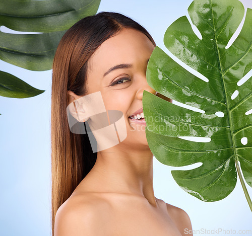 Image of Woman, portrait and leaf in natural beauty skincare cosmetics or self love and care against blue studio background. Happy female smile for perfect skin, leafy green organic plant or sustainable eco