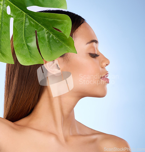 Image of Woman, leaf and natural beauty in organic skincare cosmetics for self love or care against blue studio background. Relaxed female with leafy green plant for sustainable health, eco wellness or facial
