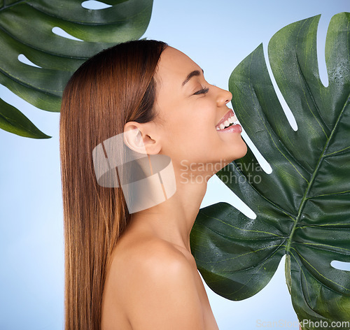 Image of Woman, smile and leaf in natural beauty skincare cosmetics or self love and care against a blue studio background. Happy female in joy for perfect skin, leafy green organic plant or sustainable eco