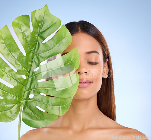 Image of Woman, leaf and calm natural beauty for organic skincare cosmetics, self love or care on blue studio background. Relaxed female holding eco green plant for sustainable wellness or facial treatment