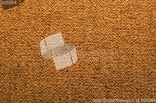 Image of Brown Carpet