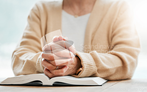 Image of Bible, praying or hands of old woman in prayer reading book for holy worship, support or hope in Christianity or faith. Relax, zoom or elderly person studying or learning God in spiritual religion