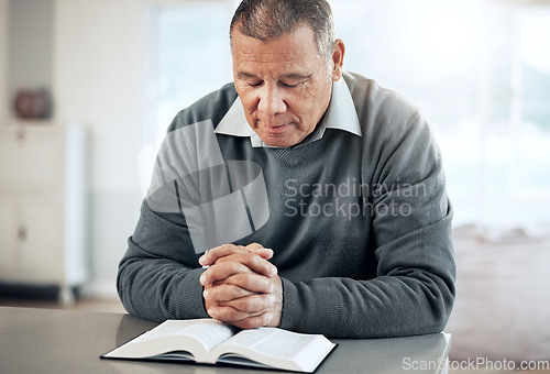 Image of Bible, reading book or old man praying for hope, help or support in Christianity religion or holy faith. Believe, prayer or senior person studying or worshipping God in spiritual literature at home