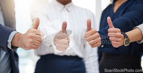 Image of Hands, closeup and business people with thumbs up in office for thank you, partnership or success. Zoom, hand and finger emoji by team of professional employees showing support, yes or join us symbol