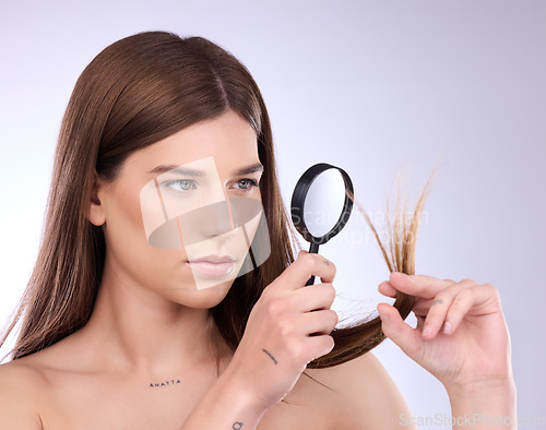 Image of Hair care, beauty split ends and woman with magnifying glass in studio isolated on a background. Cosmetics, female and model face with lens for hairstyle, hairloss and damage after salon treatment.