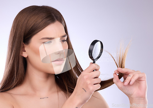 Image of Hair care, beauty and woman with magnifying glass for split ends in studio isolated on a background. Cosmetics, face and sad female with lens for hairstyle, hairloss or damage after salon treatment.