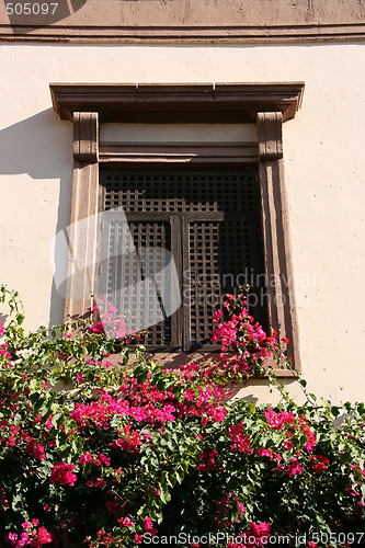 Image of Window with flowers