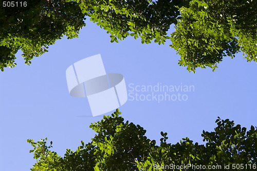 Image of Frame of leaves