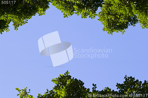 Image of Frame of leaves