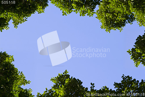 Image of Frame of leaves
