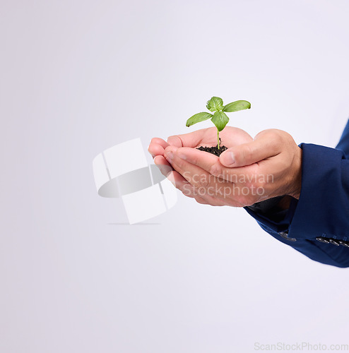 Image of Plant in man hands for business growth isolated on white background with eco friendly investment mockup space. Sapling soil, palm and sustainable investing, sustainability or green startup in studio