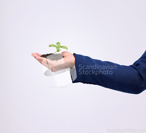 Image of Plant in person hand for business growth isolated on white background, eco friendly investment and mockup. Sapling, man palm and sustainable career, sustainability and green startup in studio space