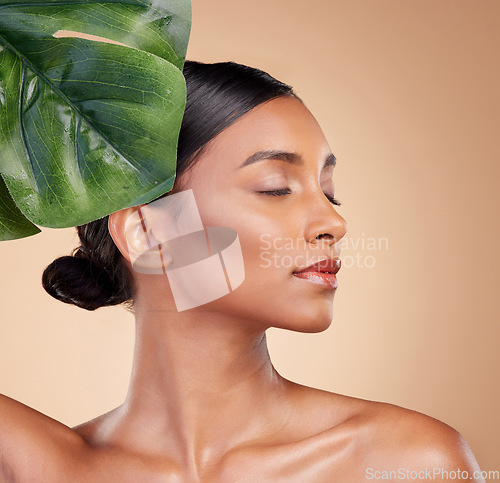 Image of Woman, face and leaf for natural skincare cosmetics, self love and care against studio background. Calm and relaxed female beauty holding leafy green organic plant in sustainable eco facial treatment