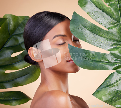 Image of Woman, face and leaf for natural skincare cosmetics, self love and care against studio background. Female cosmetic beauty holding leafy green plant for organic facial or sustainable eco spa treatment