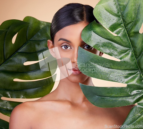 Image of Woman, portrait and leaf for natural skincare cosmetics, self love and care against studio background. Female cosmetic beauty holding leafy green organic plant for sustainable eco facial treatment