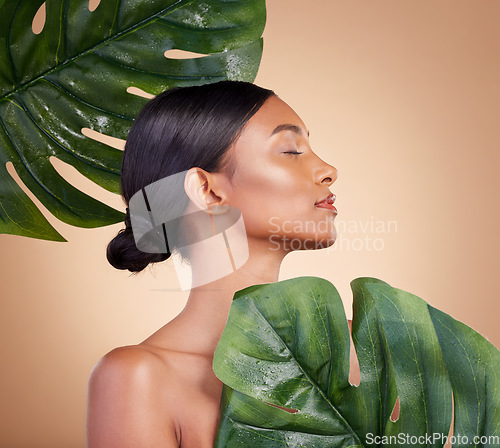 Image of Woman, face and leaf for natural skincare cosmetics, self love and care against studio background. Female cosmetic beauty holding leafy green plant for organic facial or sustainable eco spa treatment