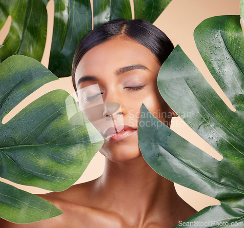 Image of Woman, face and leaf in natural skincare cosmetics, self love and care against studio background. Calm female beauty holding leafy green organic plant for sustainable eco facial spa treatment