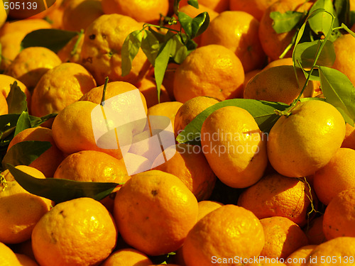 Image of  tangerines