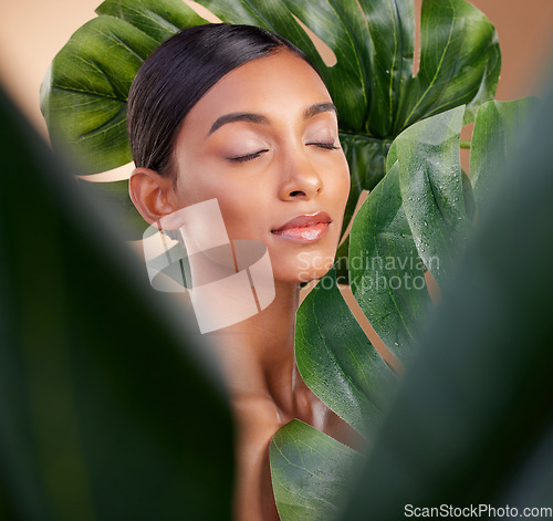 Image of Woman, face and leaf in natural skincare cosmetics, self love or aloe vera against studio background. Calm female beauty holding leafy green organic plant for sustainable eco facial or spa treatment