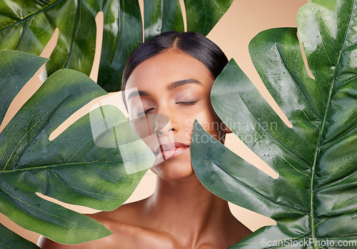 Image of Woman, face and leaf for natural skincare cosmetics, self love and care against studio background. Calm and relaxed female beauty holding leafy green organic plant in sustainable eco facial treatment