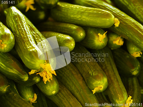 Image of cucumbers