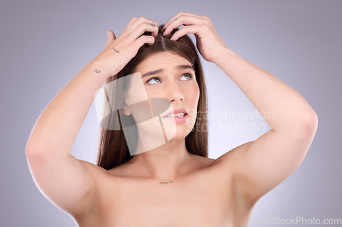 Image of Woman, hair and worried of scalp dandruff on studio background to scratch allergy, eczema or head lice. Female model, itching scalp and haircare problem of damaged texture, dry skincare or dermatitis