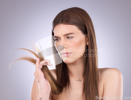 Image of Woman, worry and split ends in studio, background and beauty concern of hair loss, problem and damage. Worried, unhappy and female model check tips of haircare, hairstyle and treatment of dry texture