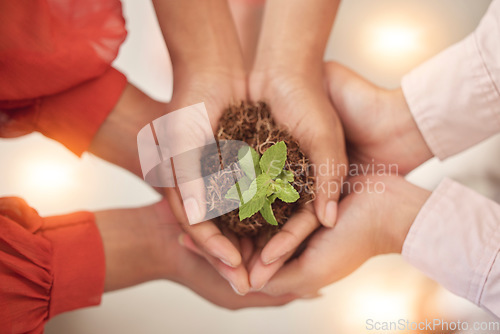 Image of Teamwork, earth day or hands with plant for sustainability, agriculture environment or natural growth top view. Goals, group accountability or zoom of soil dirt for future green leaves development