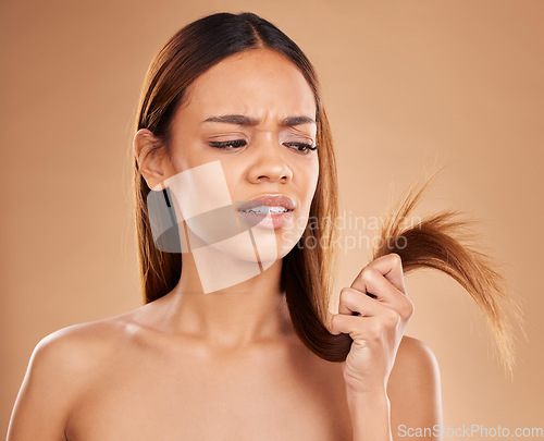 Image of Hair care, frustrated and a woman looking at split ends isolated on a studio background. Unhappy, frizzy and a girl with a problem with damaged, tangled and breakage of a hairstyle on a backdrop