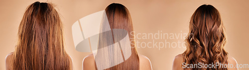 Image of Hair care, beauty and back of a woman in studio with healthy, clean and curly hairstyle transformation. Wellness, salon and female model with botox, brazilian or keratin treatment by brown background