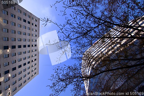 Image of Looking Up to the Sky in Downtown