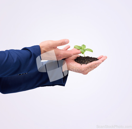 Image of Hands, plant and growth with a businessman in studio on a white background to nurture new life for sustainability. Earth day, spring and climate change with a male employee holding soil for ecology