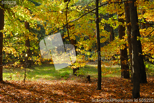 Image of Colors of Fall