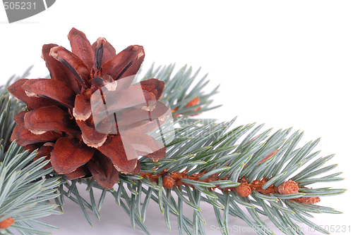 Image of Christmas Decoration